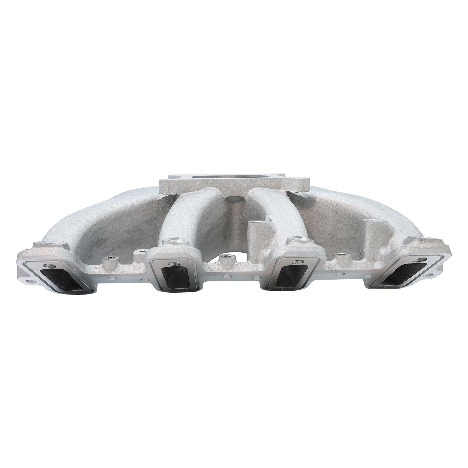 EFI Intake Manifold GM LS1 LS2 LS6 300-137 Rectangle Port with Fuel Rail