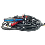 LS1-4L60E Stand Alone Harness for 97-06 LS1 4.8 5.3 6.0 Drive by Cable Engines