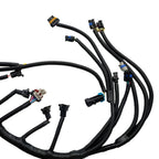 LS1-4L60E Stand Alone Harness for 97-06 LS1 4.8 5.3 6.0 Drive by Cable Engines
