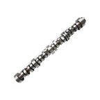 For GMC BUICK SAAB ISUZU SIERRA Trucks SUV NON AFM DOD Cam Camshaft Lifters Kit