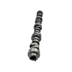 For GMC BUICK SAAB ISUZU SIERRA Trucks SUV NON AFM DOD Cam Camshaft Lifters Kit