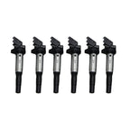 6 x Ignition Coil Pack For BMW 545i 535xi 535i 530xi  530i 528i 12137551049