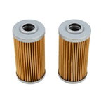 2X Fuel Filter 3608255M1 3283343M1 For Massey Ferguson Tractor 1010 1020 1030
