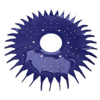 Finned Seal Disc Pool Cleaner Part W70329 W70464 for Zodiac Baracuda G2 G3 G4