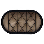 Air Filter P621983 for Donaldson