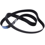 V-Belt 3100189 for Cummins Engine ISX15