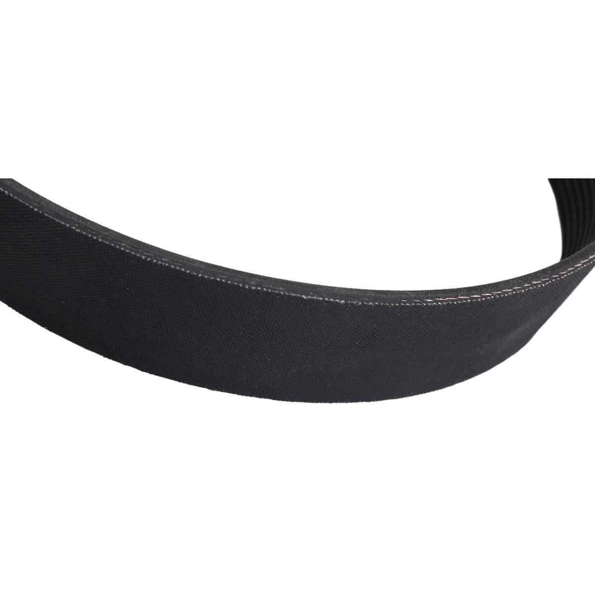 V-Belt 3100189 for Cummins Engine ISX15