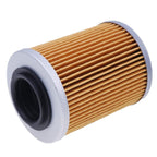 2PCS Oil Filter 0800-011300 for CFMoto CF500 400 500cc 800cc CF800 X8 ATV UTV