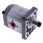 Hydraulic Pump 84530167 0510625063 5129493 For New Holland TN55 TN65 TN70 TN75