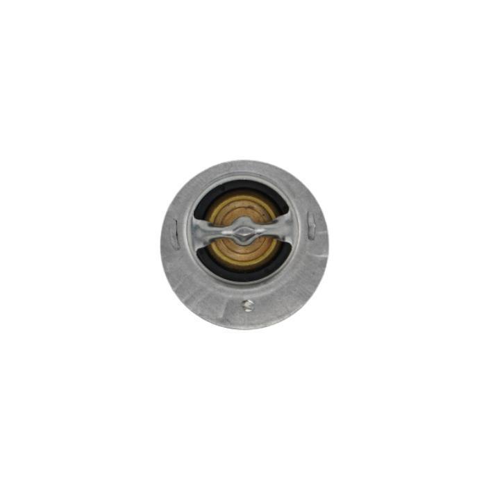 Thermostat 145206182 145206170 145206180 for Shibaura New Holland TC30 TC33D