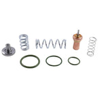 Thermostat Valve Kit 2901109500 for Atlas Copco Air Compressor GX7
