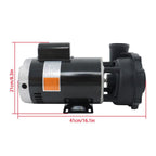 4 HP 230V 2-Speed Spa Pump 3721621-13 56Y Frame Hot Tubs Dual-Speed For Hot Tub