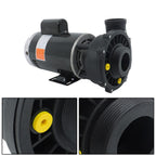 4 HP 230V 2-Speed Spa Pump 3721621-13 56Y Frame Hot Tubs Dual-Speed For Hot Tub