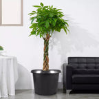 10 Pack 25 Gallon Large Premium Nursery Pot Root Garden Container Black Plastic