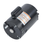 B128 Single Speed C-Face Full Rated 1HP 115V/230V Replacement Pool Pump Motor