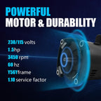 B2854 B2854V1 Pool Pump Motor Square Flange Swimming Pool Pump 1.5 Hp Pool Pump
