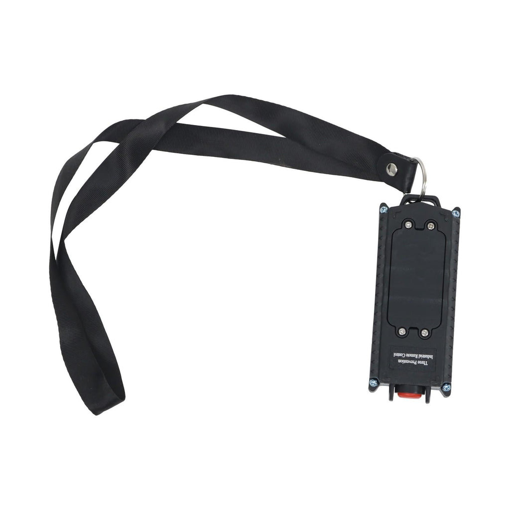Mini Electric Hoist PA800 1760lbs 110V 1350W 328ft/100m Wireless Remote Control