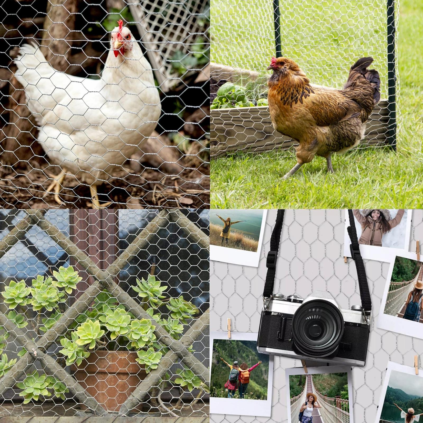 72" × 150' 2" Holes Galvanized Poultry Net - Metal Fencing / Chicken Wire