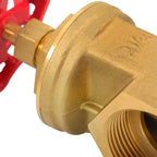 Corrosion Resistant Brass Gate Valve DN65 2.5" Female NPT for Plumbing Systems