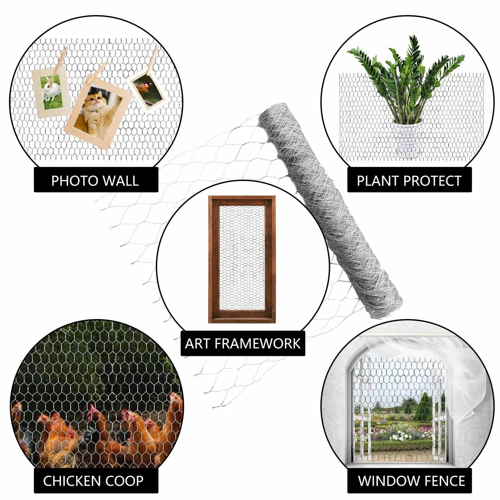 2" Holes 48"×150' Galvanized Poultry Net Metal Fencing Chicken Wire High Quality