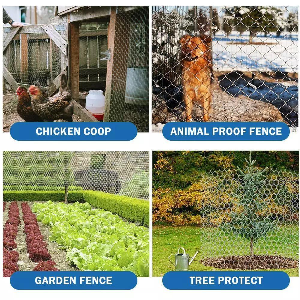 2" Holes 48"×150' Galvanized Poultry Net Metal Fencing Chicken Wire High Quality
