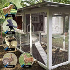 2" Holes 48"×150' Galvanized Poultry Net Metal Fencing Chicken Wire High Quality