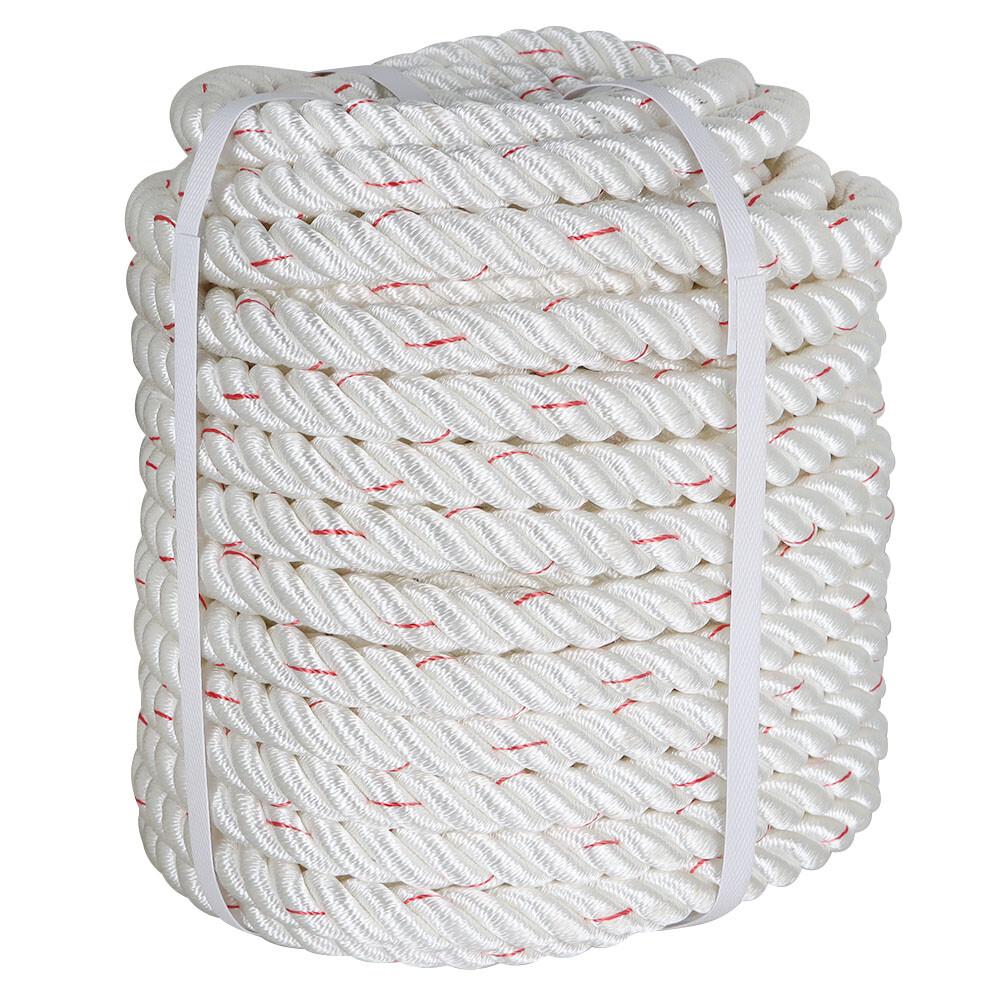 2038Lbs Arborist Tree  Rope Bull Rope Braided Polyester Rope 3/4" × 100'