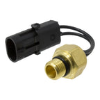 RE503242, Temperature Switch