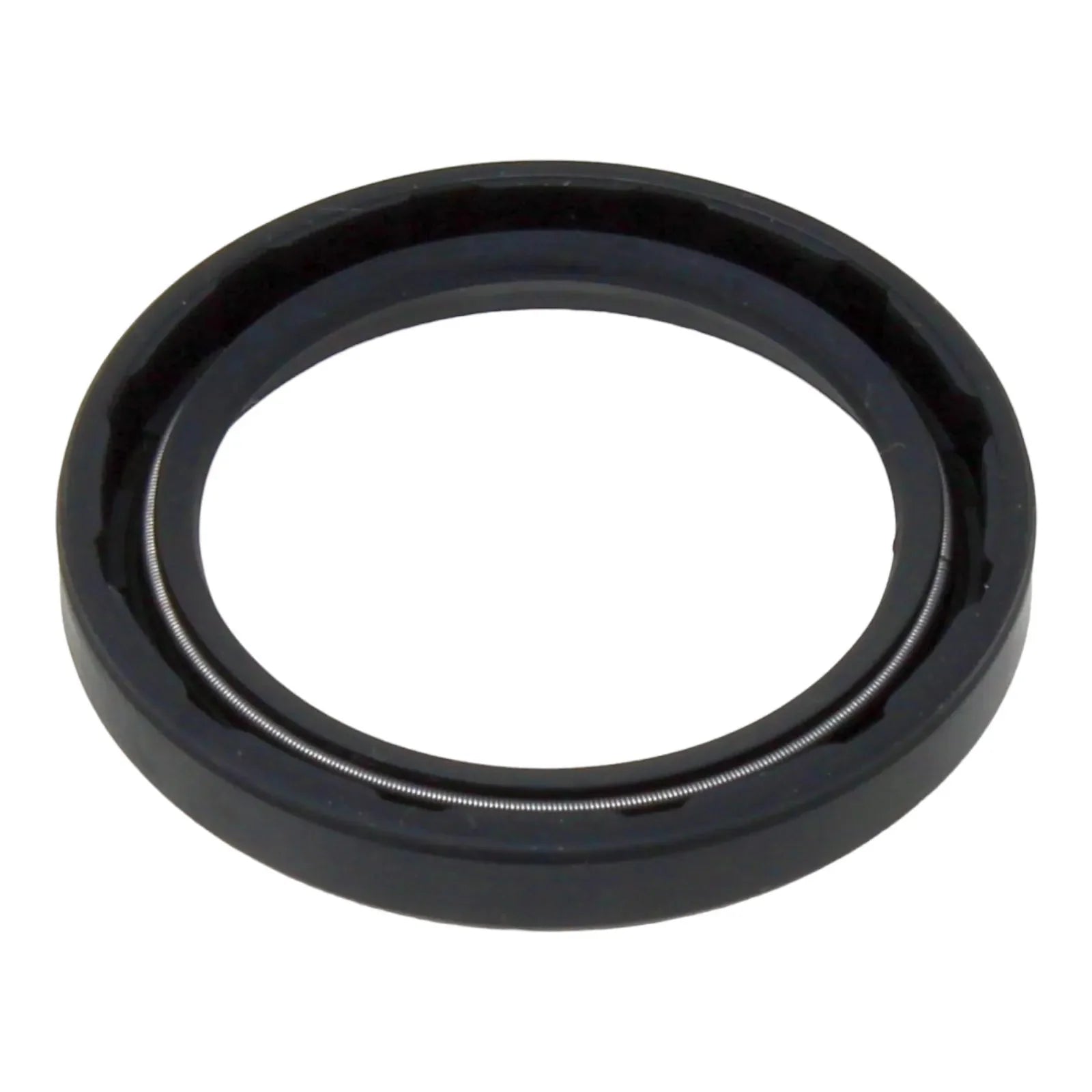 196066A1, Oil Seal