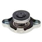 6672491, Radiator Cap