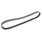 7146391, Drive Belt