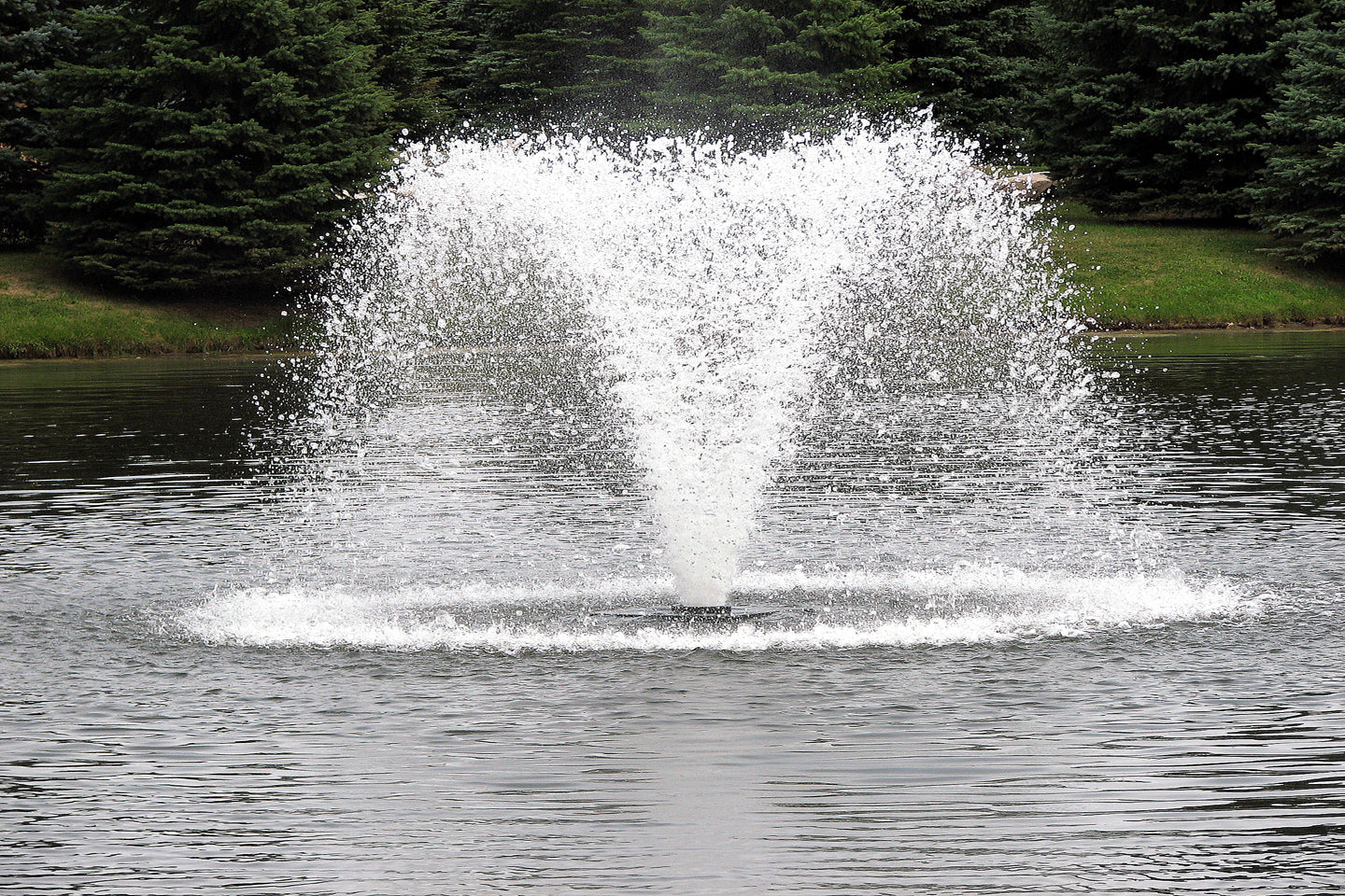 Scott Aerator: North Star Display Aerator