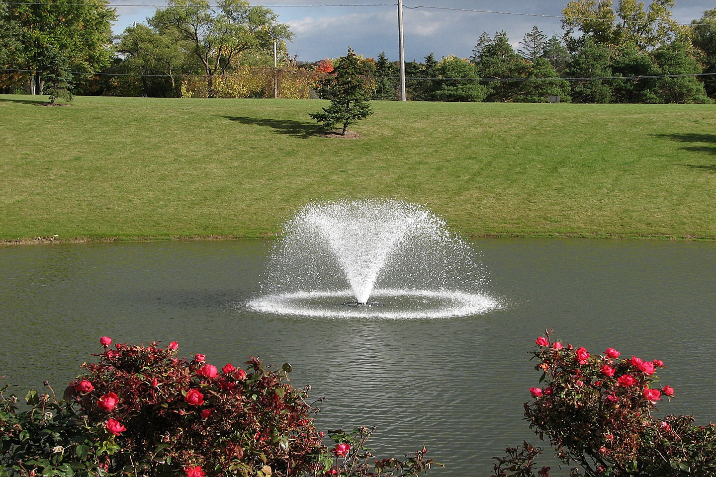 Scott Aerator: North Star Display Aerator