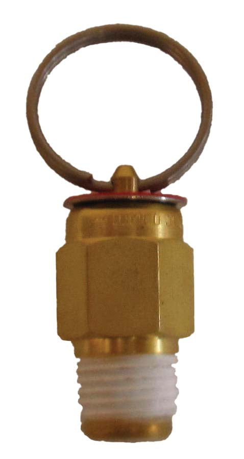 PR25 25 psi pressure release valve